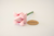 Lápis tulipa de origami