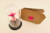Bonsai Origami P com 2 Tsurus e 3 sakuras + cartão - comprar online