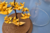 Bonsai Origami Bodas de Ouro {50 anos de casamento}