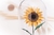 Girassol na redoma G - comprar online