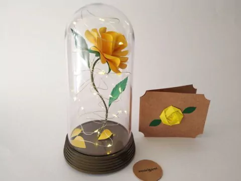 Rosa Encantada G Color Plus com led + cartão