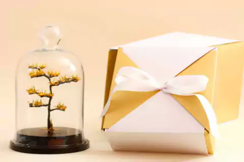 Bonsai Origami Bodas de Ouro - 50 anos de casamento