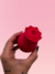 pré venda - FLOWER RUBY SUGADOR DE CLITÓRIS FEMININO
