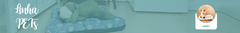 Banner da categoria Caminhas - EM BREVE!