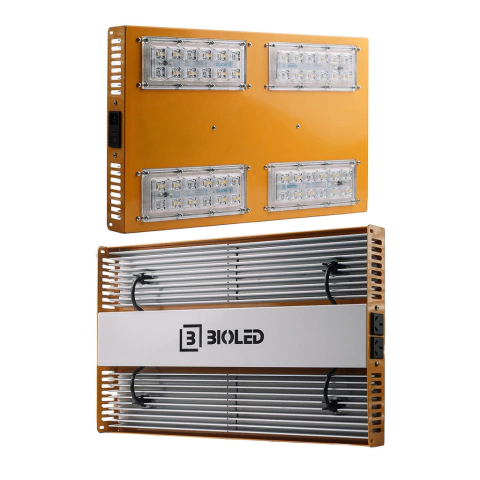 Led BIOLED RG 220 I (1857)