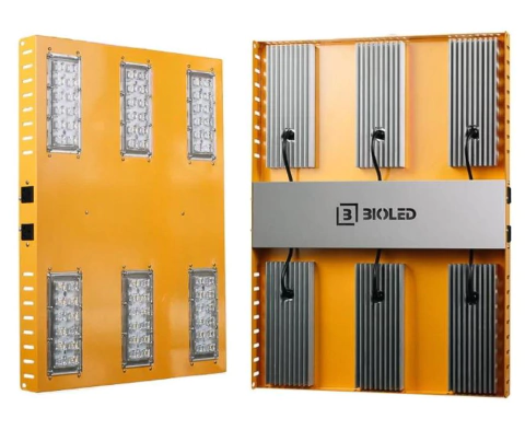 LED BIOLED RG 330 I (2369)