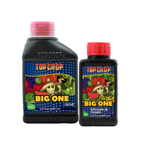 Top Crop Big One 100ml (910)