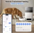 Comedero Inteligente Para Mascotas Wifi Porciones Gato - comprar online