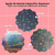 Plastified holographic charm - Sakamoto Days ( Hana Collection ) - online store