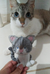 Personalized felt keychain - Kitty ( Pets ) - online store