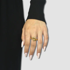 Imagem do F002 - Anel Blair