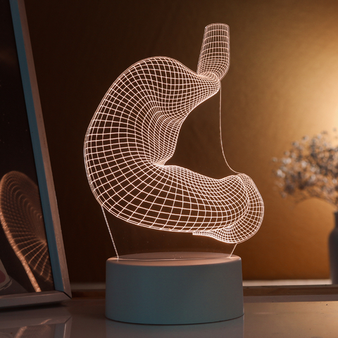 Luminária Estômago 3d - Corpo Humano