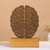 Troféu , adorno de mesa , decoração , cérebro , neurologista