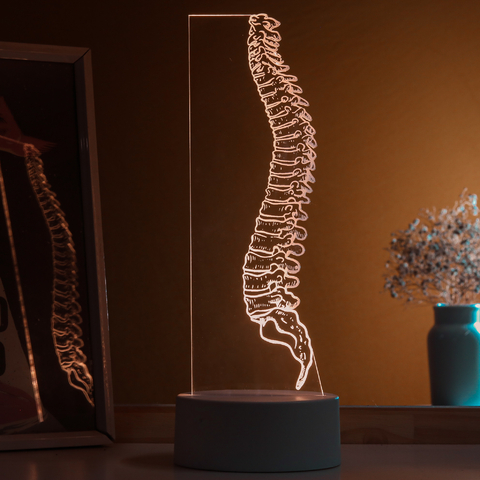 Luminária Led - Coluna Vertebral Inteira - loja online