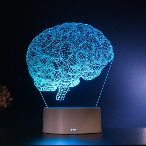 Luminária Led Corpo Humano - Cérebro