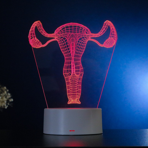 Luminária Led Corpo Humano - Útero