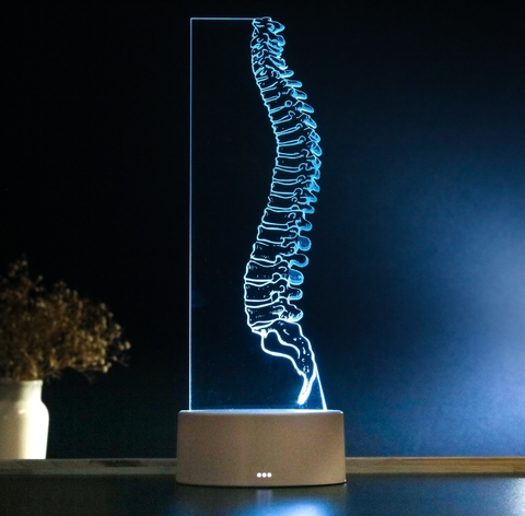 Luminária Led - Coluna Vertebral Inteira