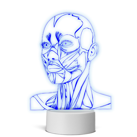 Luminária Led - Músculos da Face, anatomia do rosto - loja online