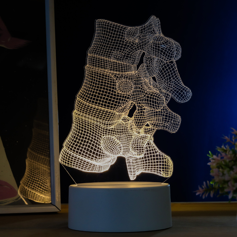 Luminária Led Corpo Humano - Vértebras da Coluna - loja online