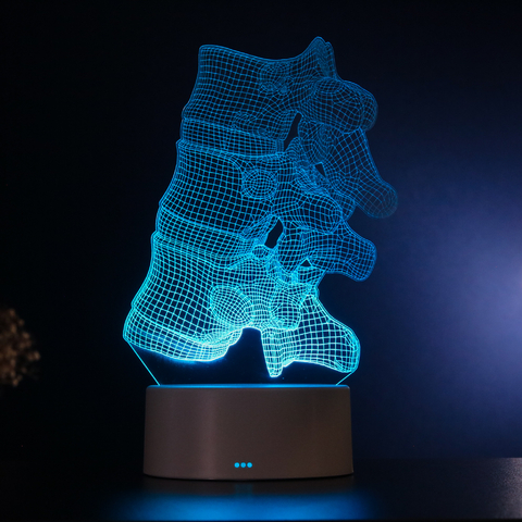 Luminária Led Corpo Humano - Vértebras da Coluna
