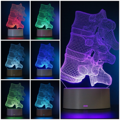 Luminária Led Corpo Humano - Vértebras da Coluna - PopLumos