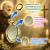 Medalha Padre Pio Chapa Resinada 12 unidades - Os Arcanjos