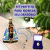 Kit Imagem N Sra Aparecida Azul + Terço Hortênsia + Medalha na internet