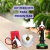 Kit Santa Terezinha Imagem 14cm Novena Medalha Coração - Os Arcanjos
