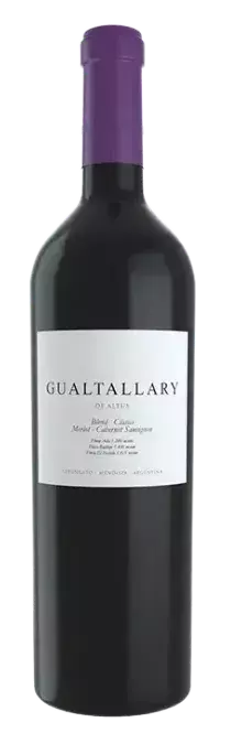 Altus Gualtallary Cabernet Sauvignon