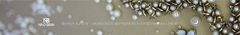 Banner da categoria Nino Bran