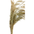 Imagem do Ramos de Arroz Natural sem Alvejamento para Roedores