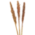 Spray Cacho de Sorgo Desidratado sem Alvejamento para Roedores - comprar online