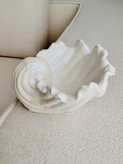 Bandeja caracola mar