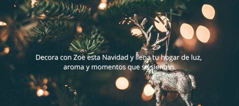 Carrusel Zoe Studio