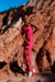 VESTIDO ROSE IVY - GOBOHO