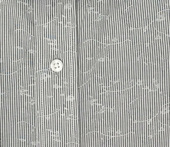 Camisa Rayas en internet