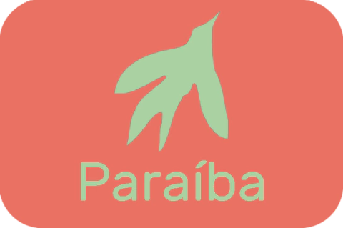 Marca 9 de Azú Arte Brasileira