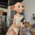 Action Figure Dobby (Com Meia) | Harry Potter na internet