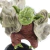 Action Figure Mestre Yoda (Sabre de Luz) | Star Wars na internet