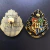 Broche Harry Potter Hogwarts | Grifinória, Lufa-lufa, Sonserina e Corvinal na internet