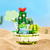 Blocos de Montar Pokémon Bonsai | Keeppley (Pikachu, Bulbasaur, Charmander, Squirtle e Jigglypuff) na internet