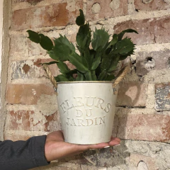 Cachepot Metal Com Alça - Bege na internet