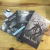Saga Hush Hush ( 4 Libros) + Anillo de lectura - Becca Fitzpatrick - comprar online