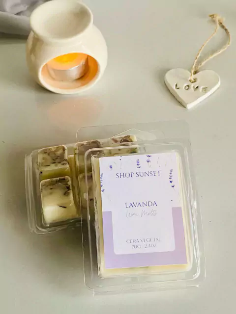 Wax Melt - Pastilha de Cera 70g