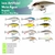 Isca Artificial Rapala Shallow Shad Rap -SSR09 Meia Água - 9cm 12gr