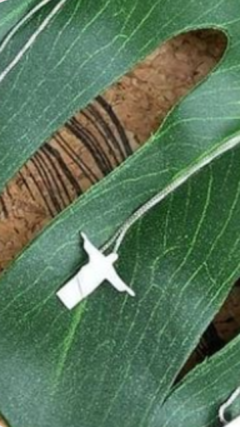 Colar Cristo - comprar online