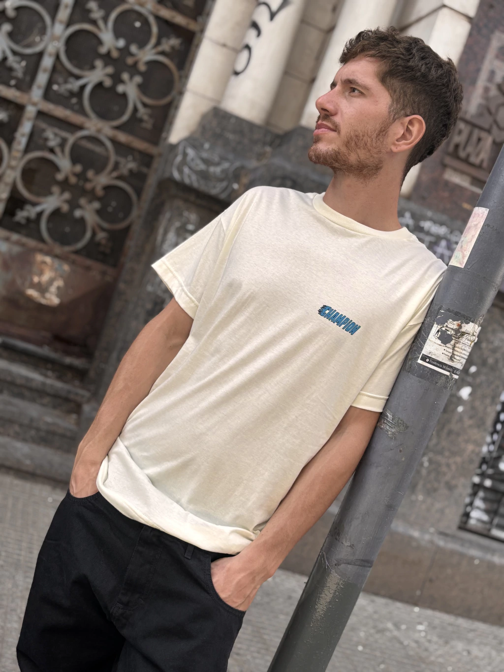 Remeras | Oversize “Champion“