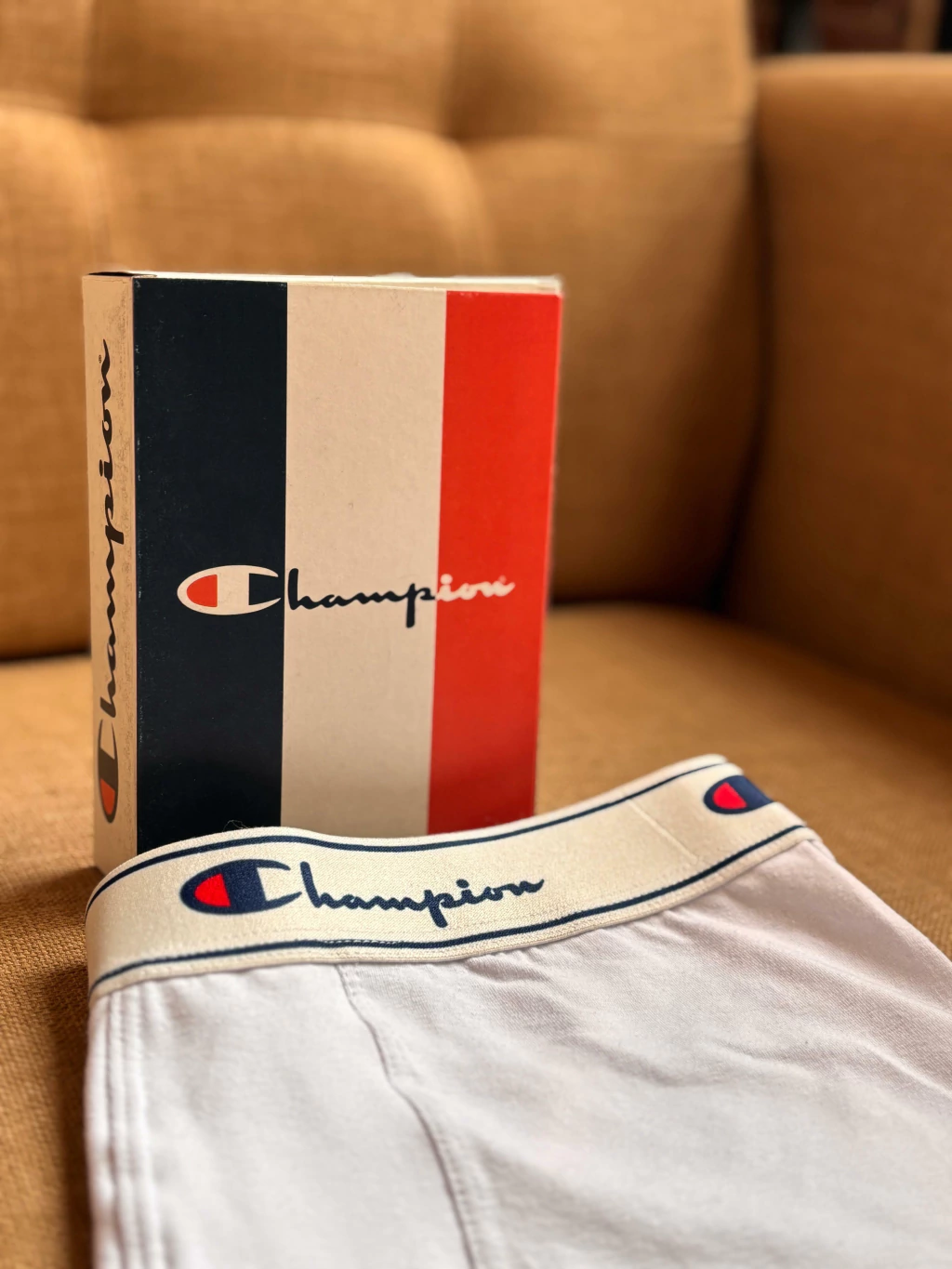 Boxer | Champion