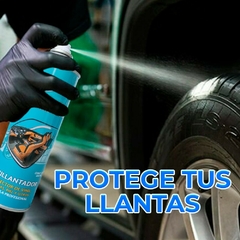 ¡Brilla como nunca con nuestro Abrillantador de Vinipiel y Llantas – 450ml! - tienda en línea