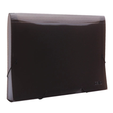 PASTA SANFONADA A4 LINE FUMÊ C/12 DIVISÓRIAS DELLO - comprar online